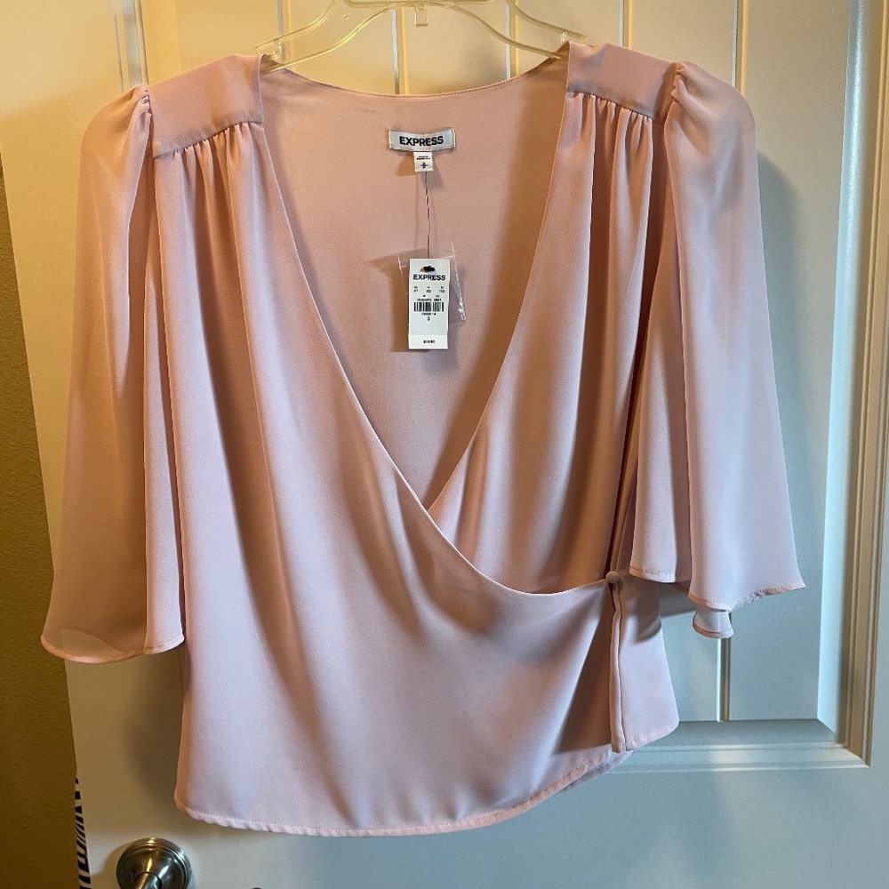 Express Sheer Blush Blouse